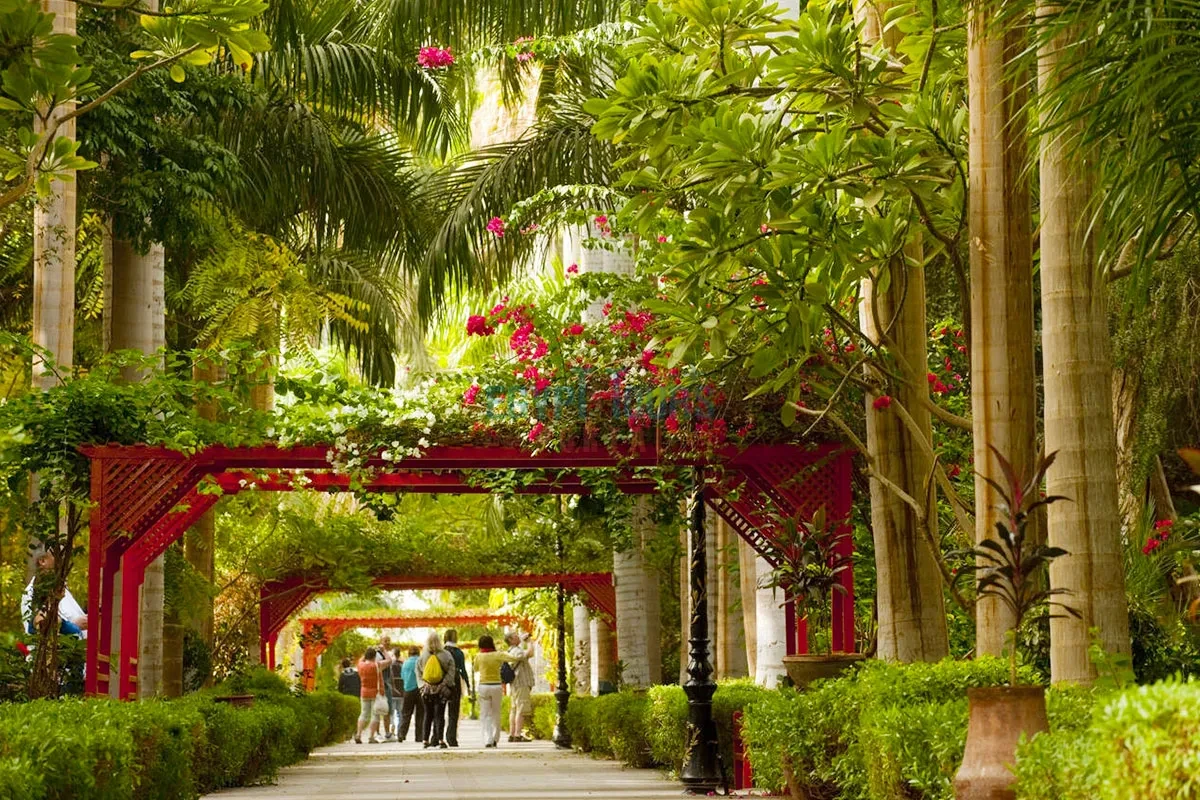 Kitchener’s Island Aswan | Botanical Garden on the Nile
