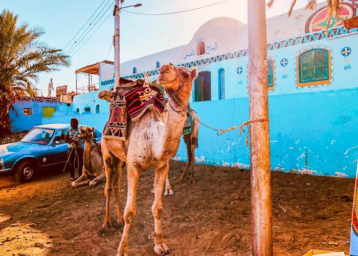 Discovering Egypt from the Nile Onboard Sola Dahabiya Nile Cruise